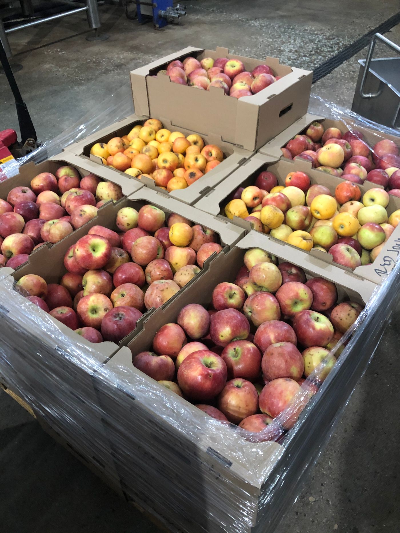 Introducing Jester King Farmhouse Cider